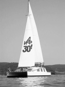 Under the sails of "Argumenty i Fakty". Summer-autumn 2008