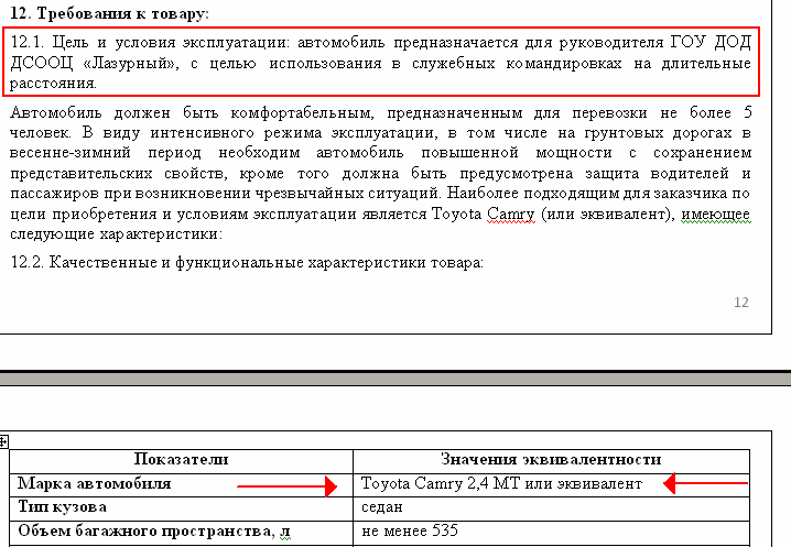The children's health camp is run by officials who make do with a car costing a mere 949,000 rubles