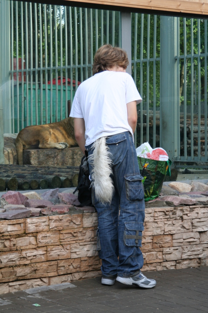 An unidentified animal