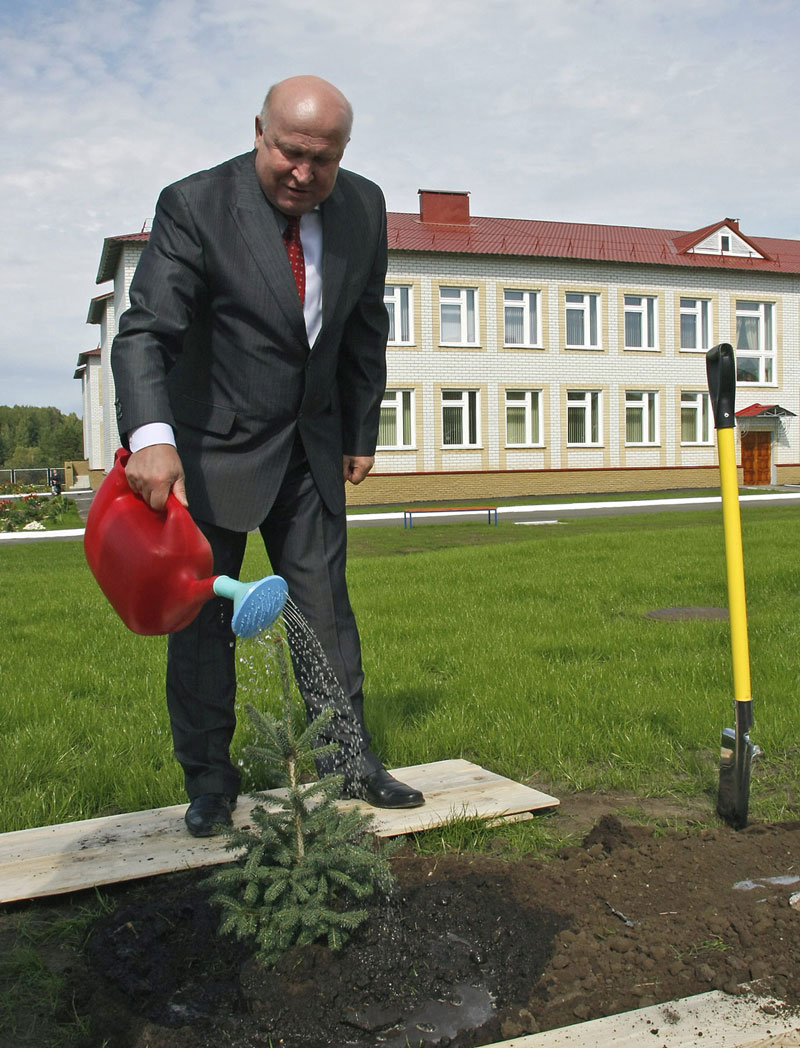 Planting of greenery in the Nizhny Novgorod Region