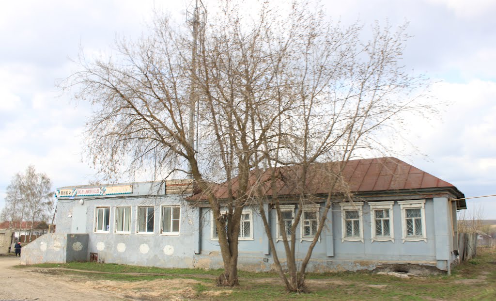 A retro dumpling diner in Lukoyanov