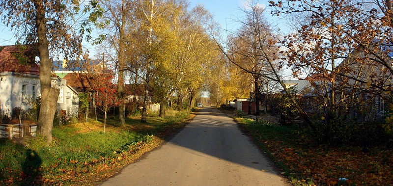 a street in Ankudinovka