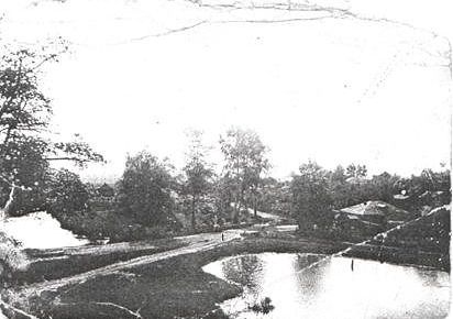 The Bykovka ponds - sazhalki (stock ponds)