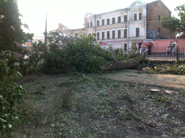 Tree felling at Black Pond, July 2010. Photo by A. Kotyusov