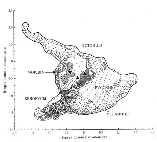 Variability of the Eastern European gene pool in principal component space (triangles mark the centroids of "ethnic clouds"). Limborskaya S.A. et al. Ethnogenomics and Genogeograph