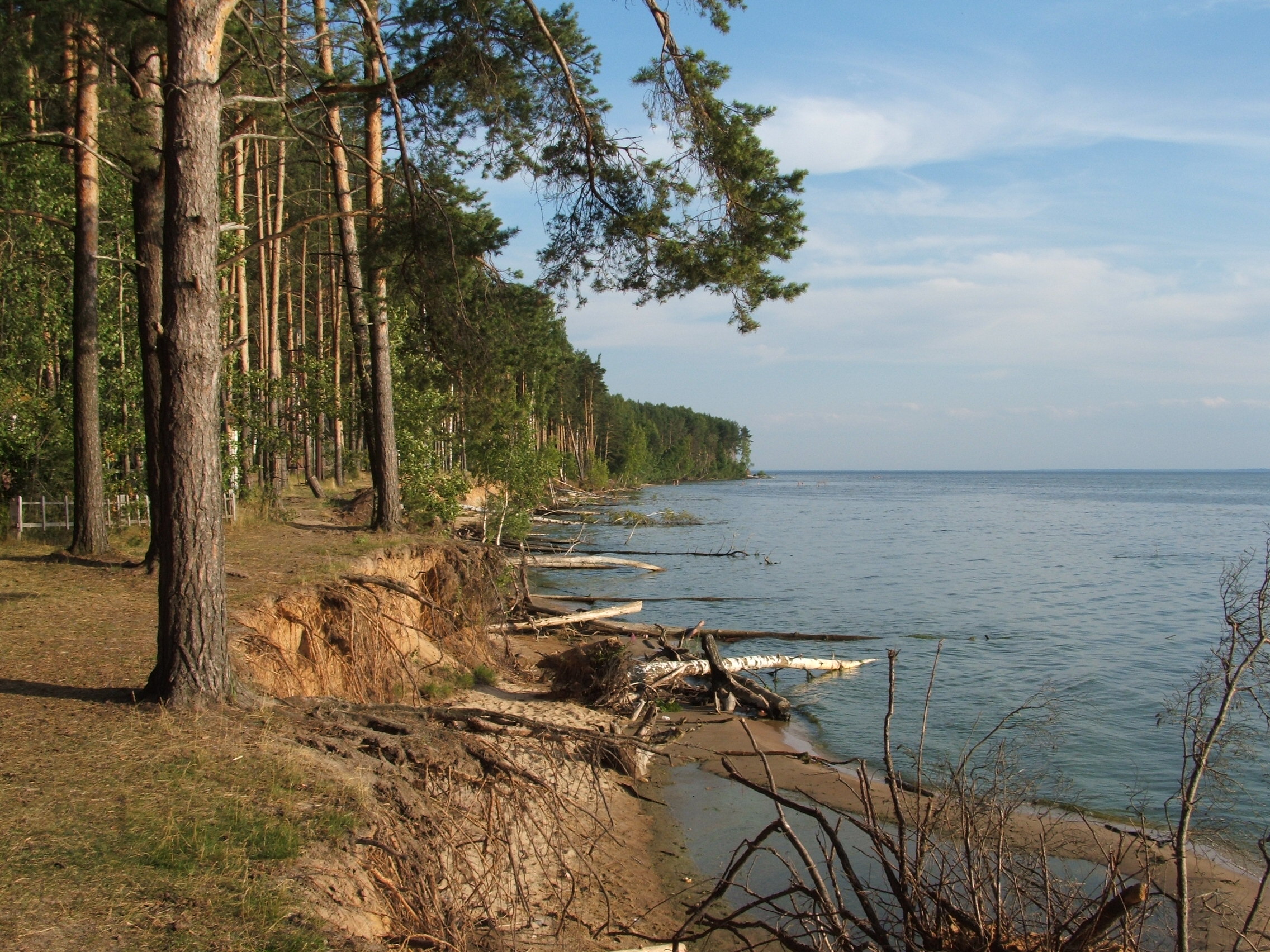 The Sea. Territory of the recreational camp "Fora"