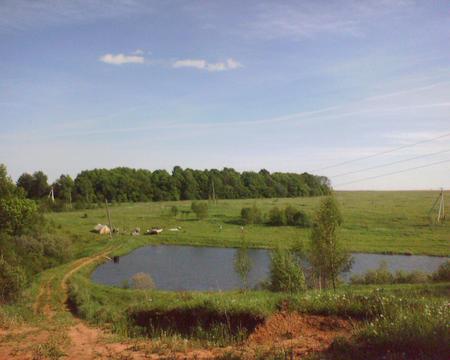 A settlement with beautiful nature and overflowing rivers