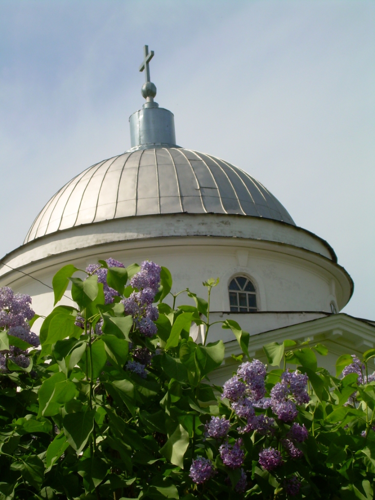 The Demidov lilac