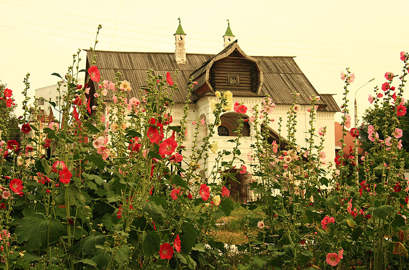 Olisov's House. Author stardust-1978