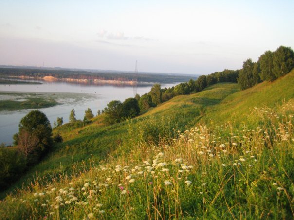 View of the opposite bank of the Oka and the Shukhov Tower from Dudenevo