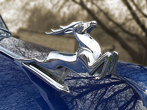 The Nizhny Novgorod deer — the Volga's emblem