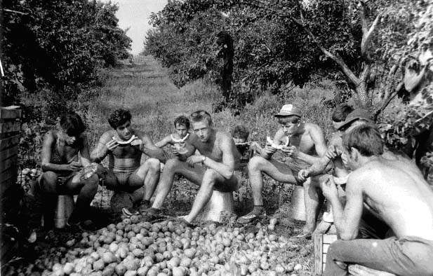 Nizhny Novgorod : we started the harvest with watermelons, then moved on to pears. The food at the field camp was fit for a last meal. Then again, we worked just as hard as we did 