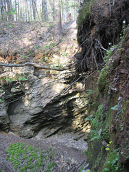 Ichalkovskiy Bor