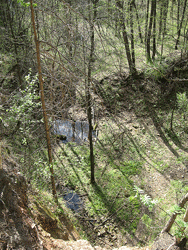 Ichalkovskiy Bor