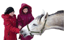Putkovo Horse Club