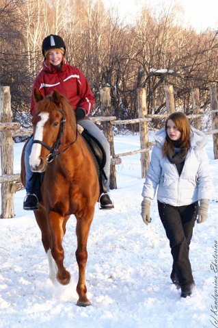 Lessons in Horseback Riding are available in any season