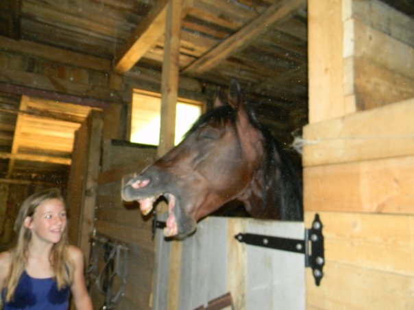Stall