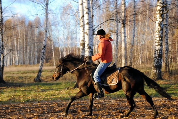 Horse Riding