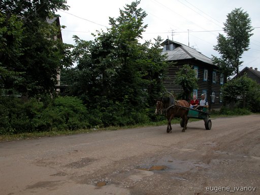 A horse and cart in Varnavino