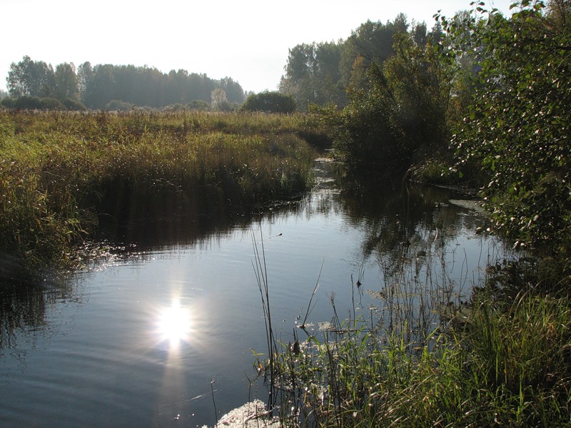 the Lyunda River