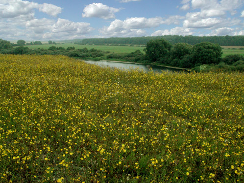 The Suzdal Opolye