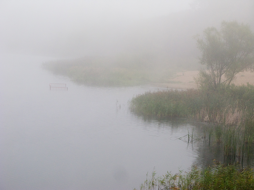 fog over Meschera Lake