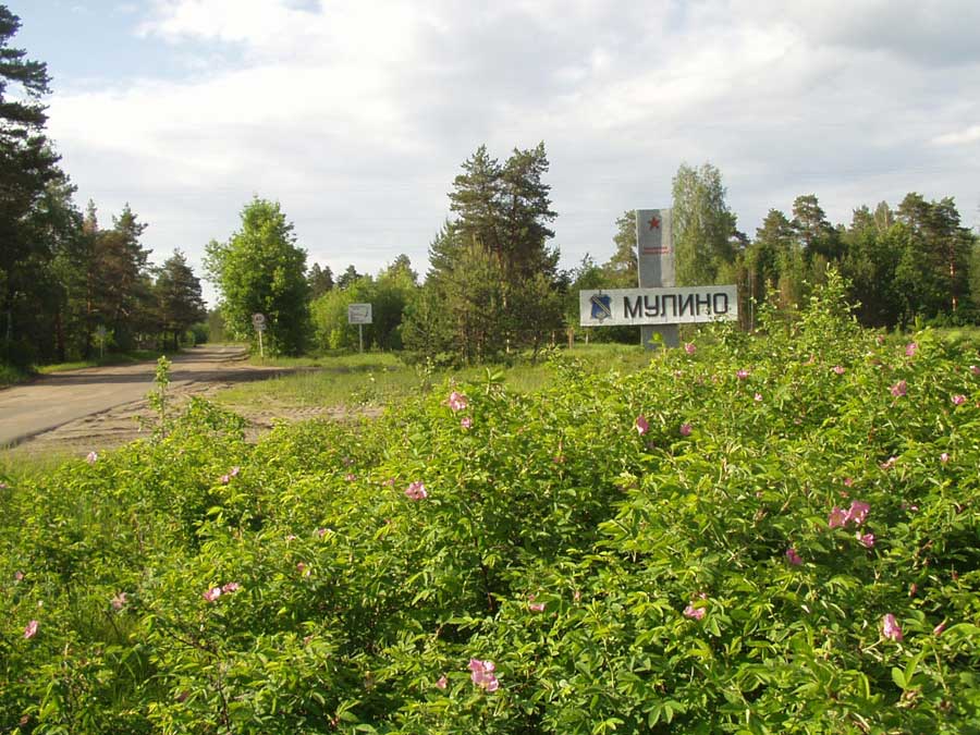 Entrance to Mulino's "Old Town"