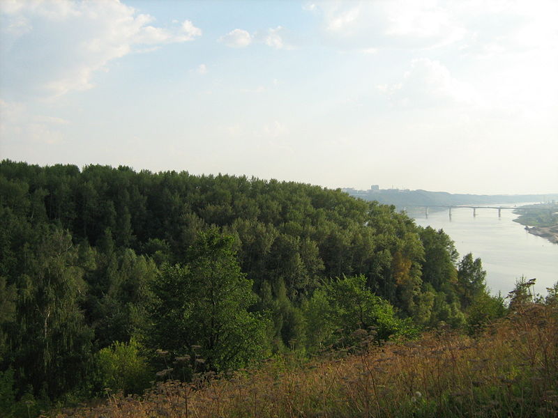 Nature of Prioksky District and Myzinskiy Bridge
