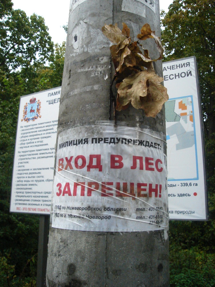 Объявление о запрете входа в лес. Щёлоковский хутор, сентябрь 2010 года