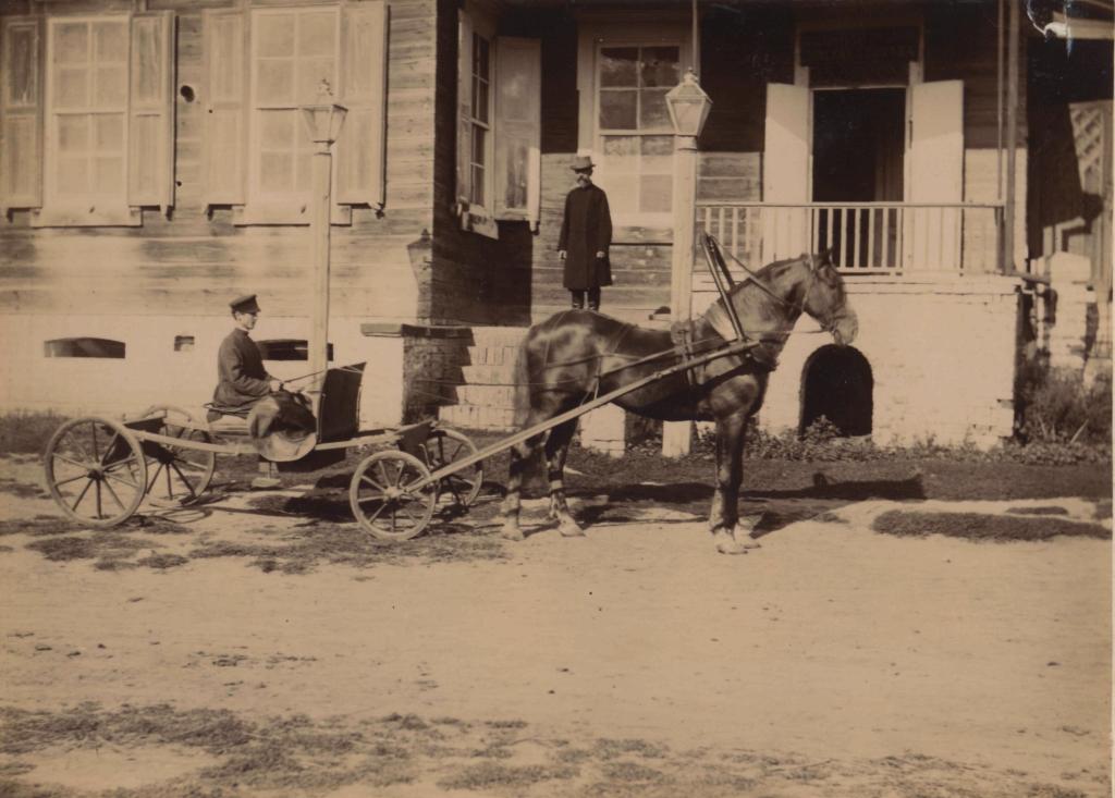 A carriage near the manor house in Bykovka