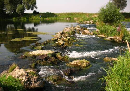 Dam