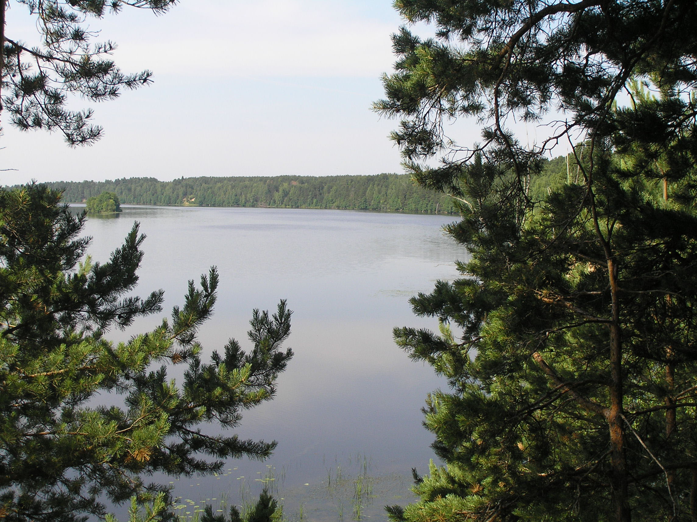 The Raznezhskaya backwater