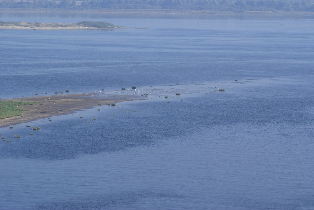 The Volga River