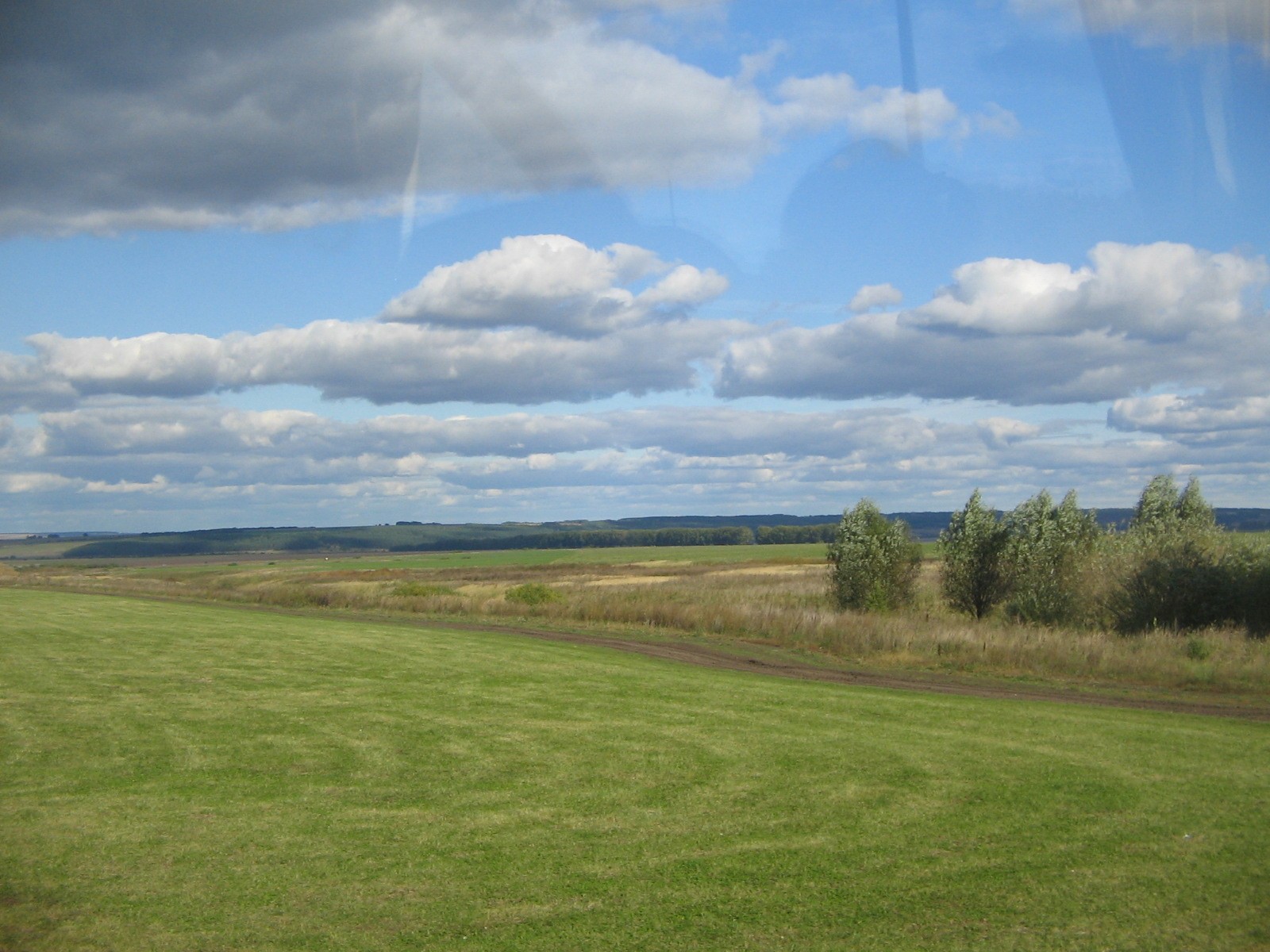 Luchinnik Grove