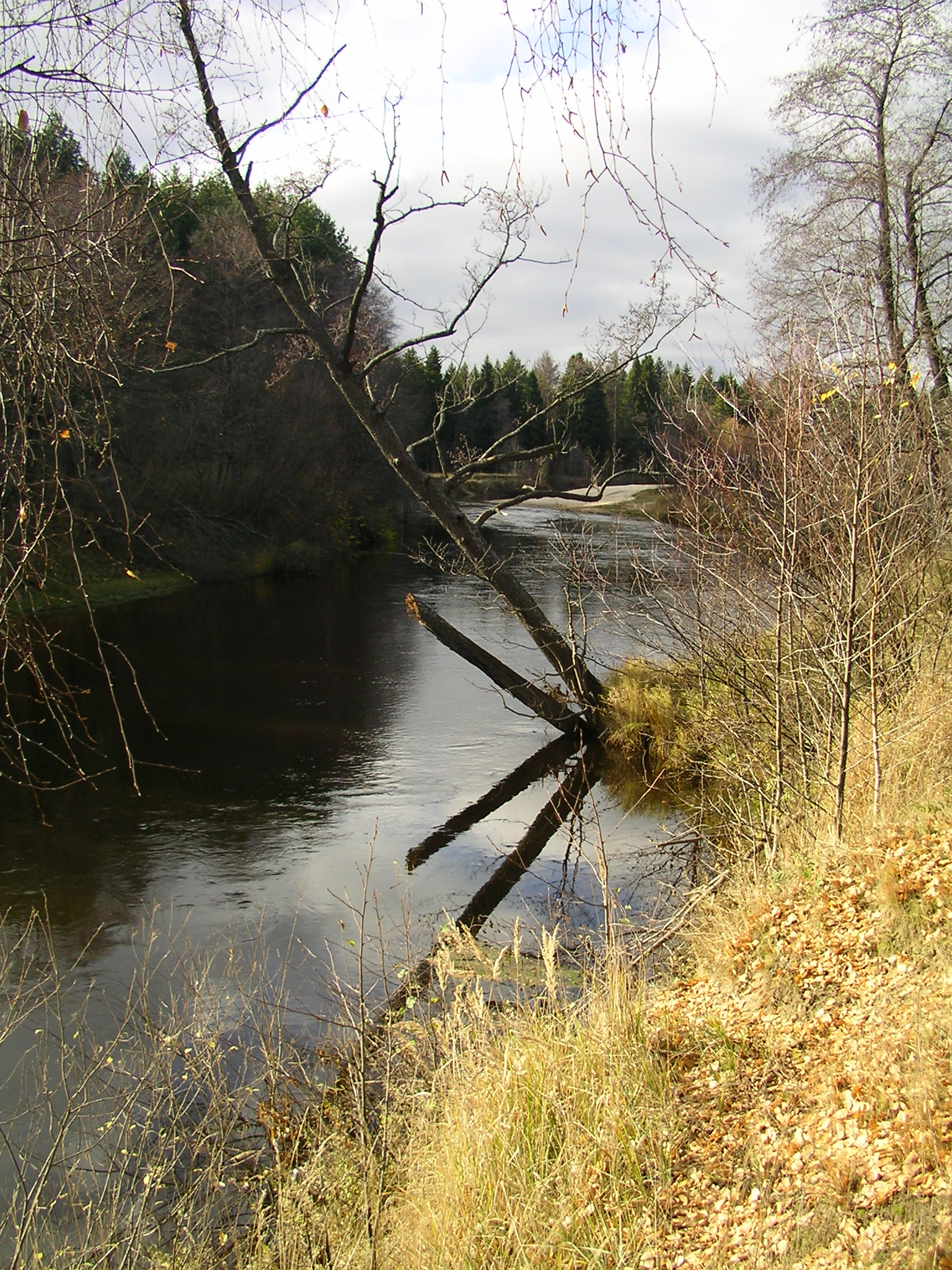 The Linda in late October