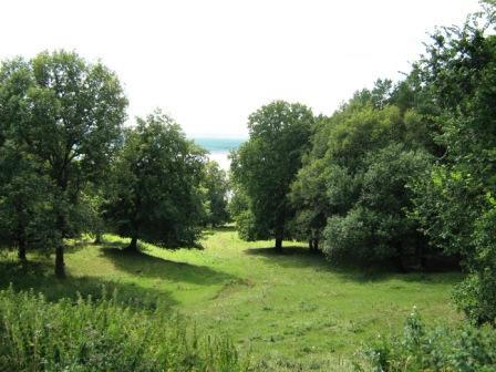 Shishkin Cape