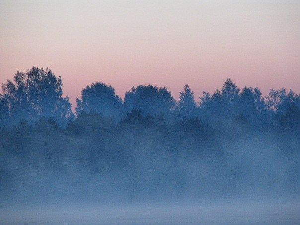 A view across the lake at dawn in the summer. Fog