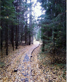 The wooden boardwalk leading to the Kibelyok spring
