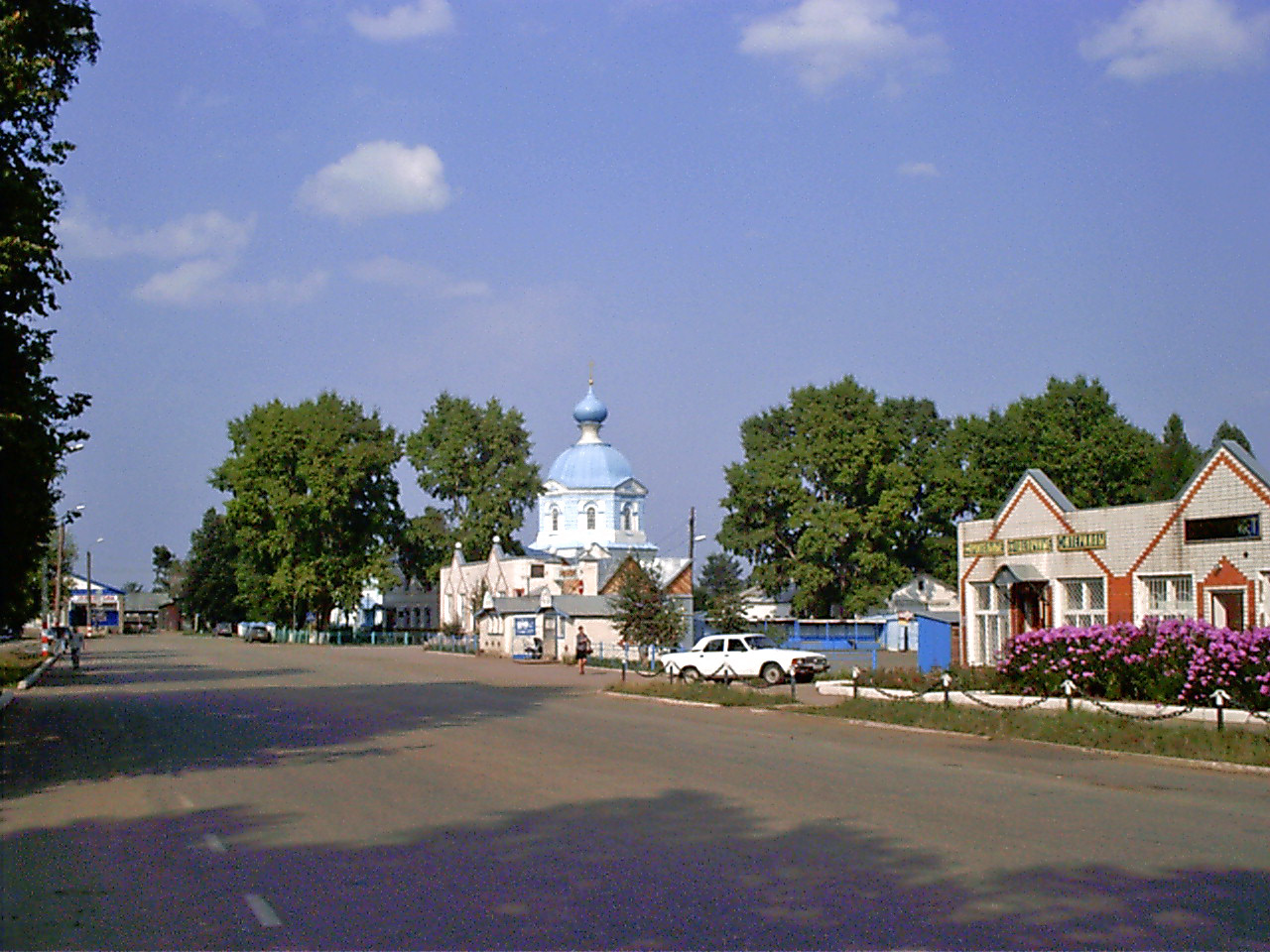 Tsentralnaya Street
