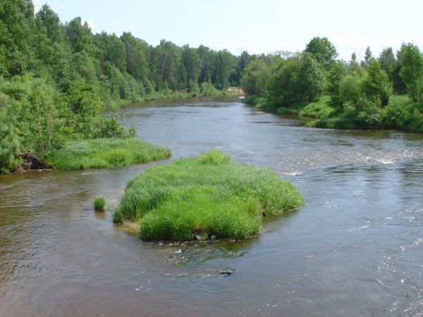 The Uzola River