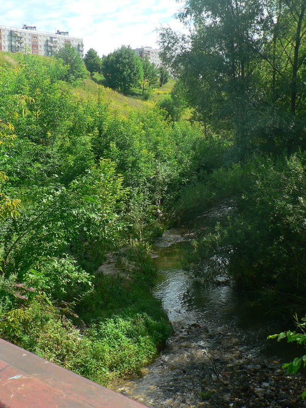 The Kova (Starka) River from the pedestrian bridge at the end of Lopatinsky Ravine