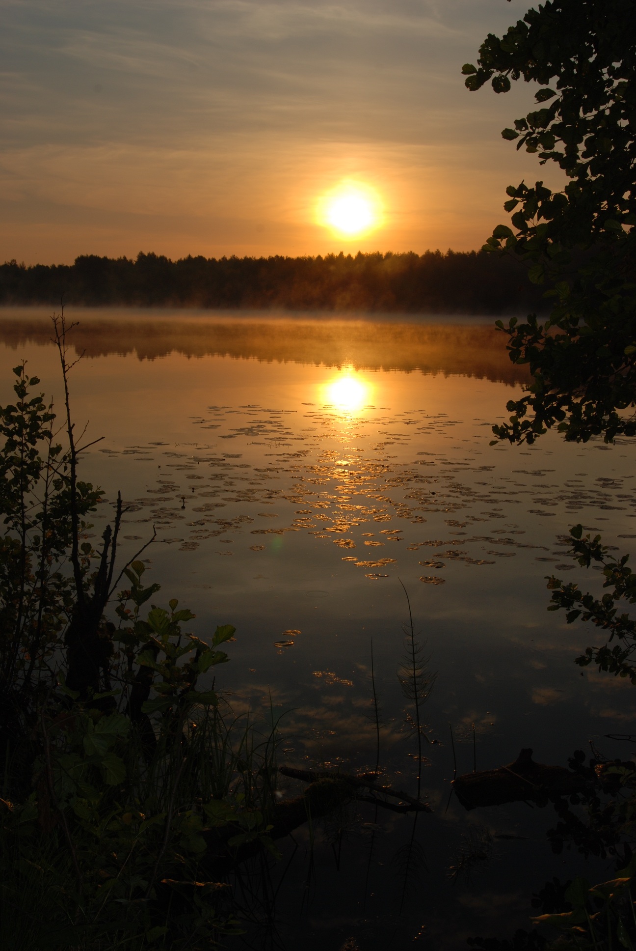 Восход на Светлояре. Село Владимирское, лето 2010 года