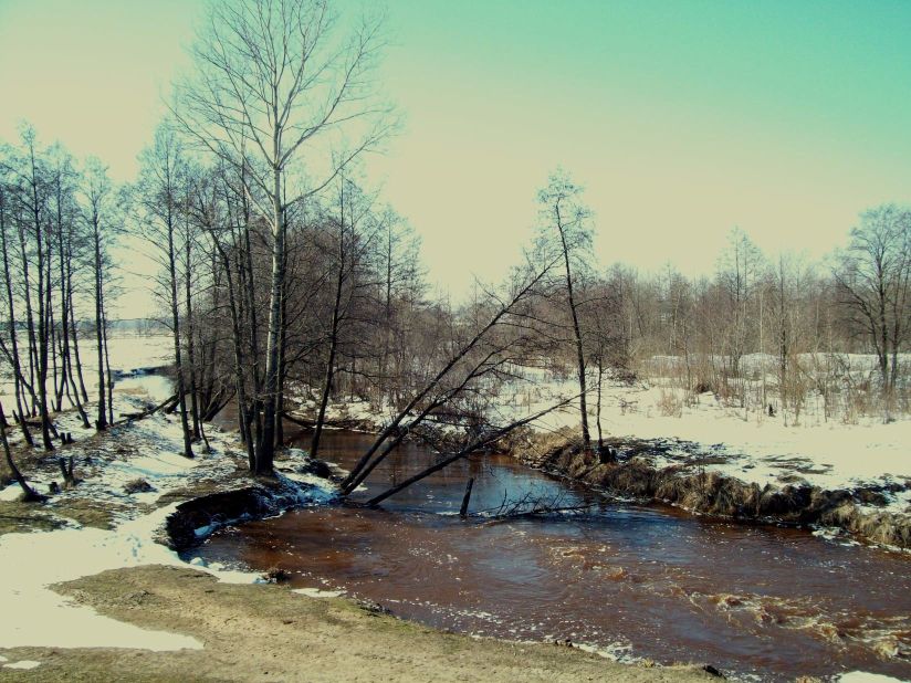 The Vezloma River. Spring. (Photo by G.A. Leukhin)