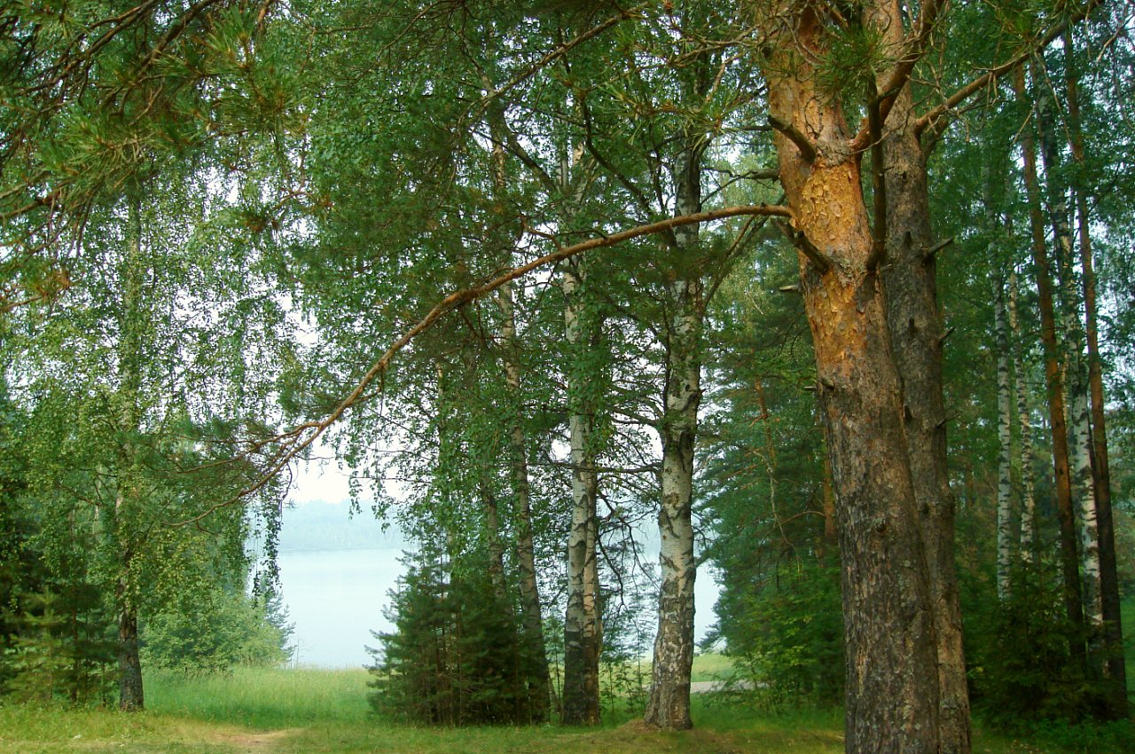 A typical central Russian landscape. Svetloyar (the village of Vladimirskoye , Nizhny Novgorod Region )