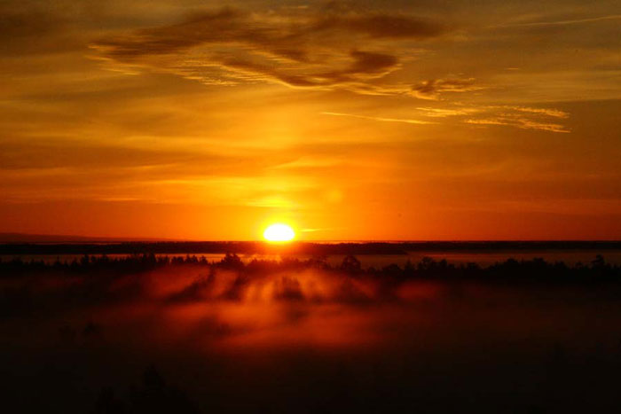 Sunset in the nature reserve