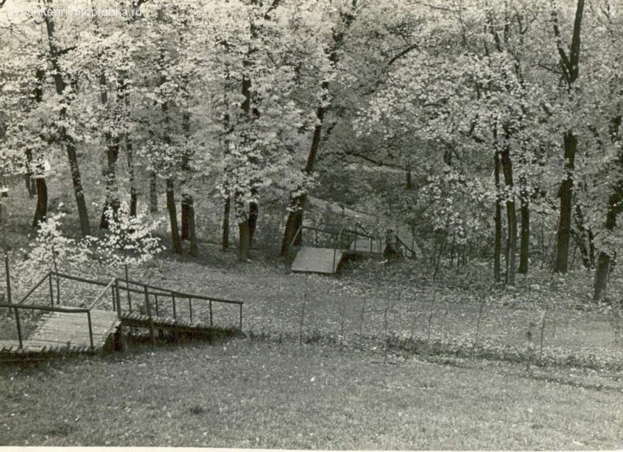 urban park, possibly Alexandrovsky Garden or Shveytsariya