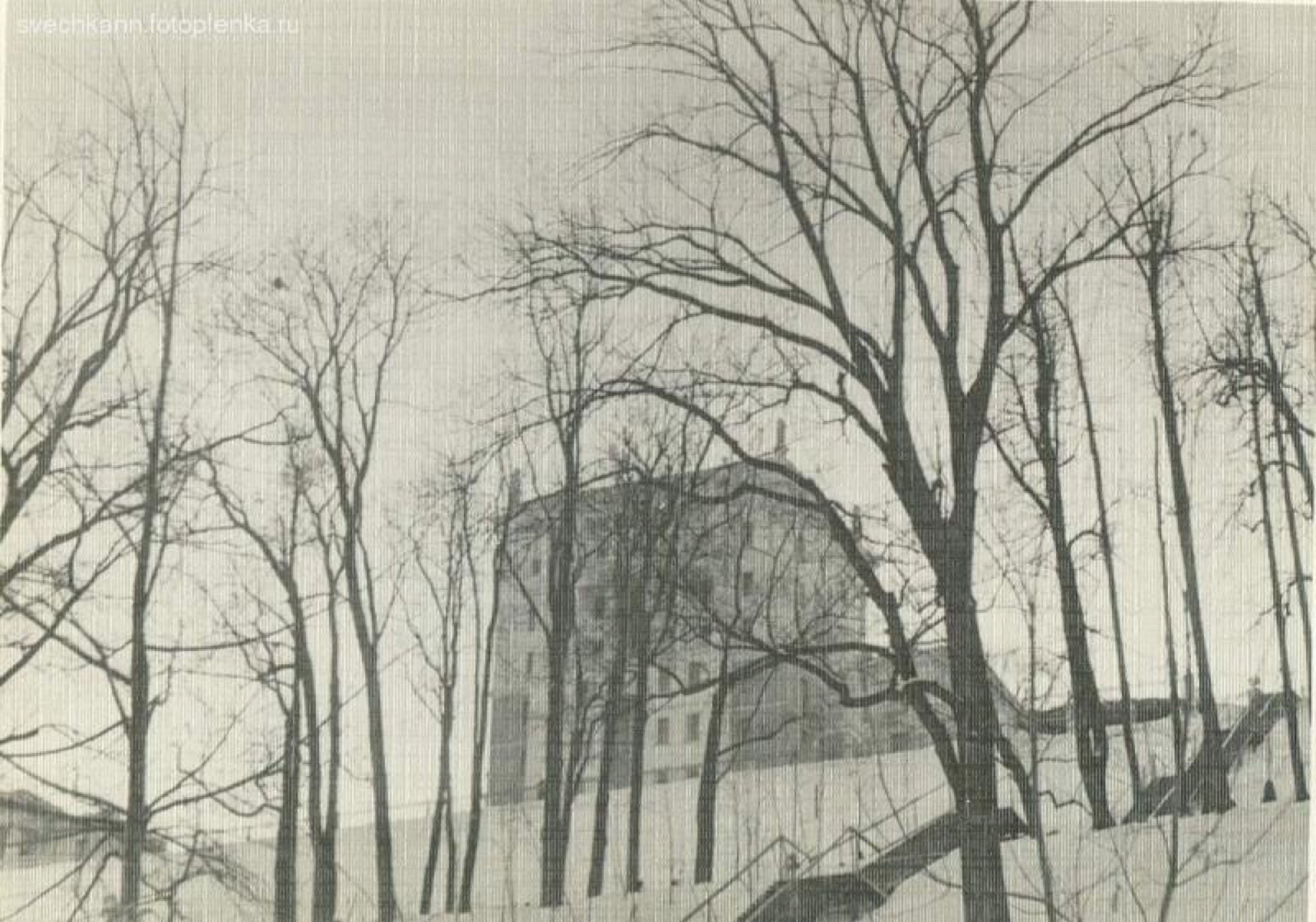Winter view through the trees, building
