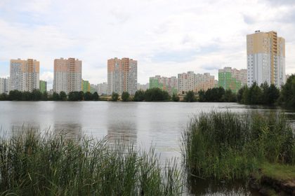 Бурнаковская низина