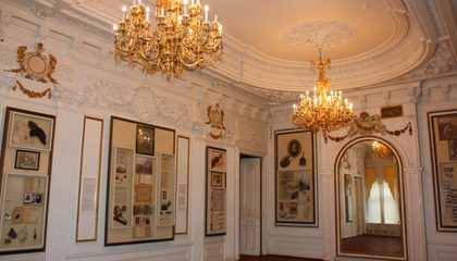 museum