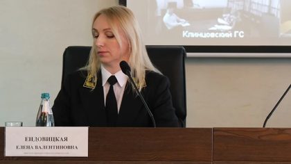Елена Ендовицкая